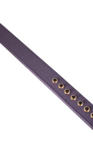 BK Paddle Pearl Lila 37cm